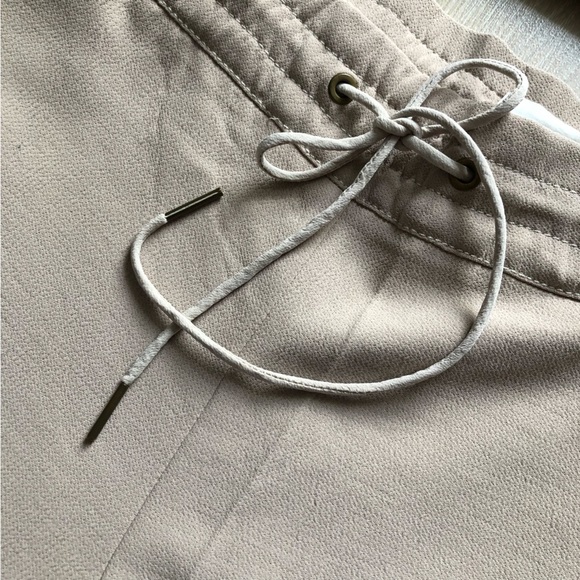 Aritzia Wilfred Beige Buffon Crepe Dressy Jogger Pants Made of Japanese Fabric - Picture 4 of 12